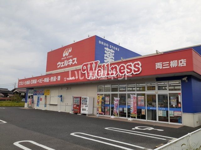 ドラックストア　ウェルネス両三柳店（ドラッグストア）まで322m