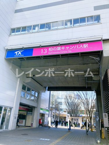 その他　柏の葉キャンパス駅（その他）まで800m