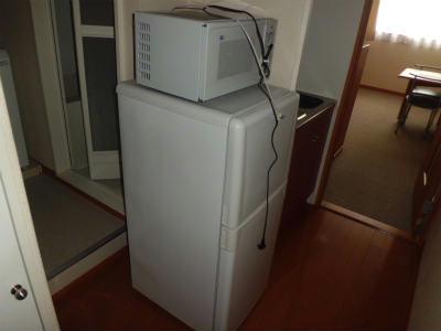 その他　冷蔵庫と電子レンジ。
