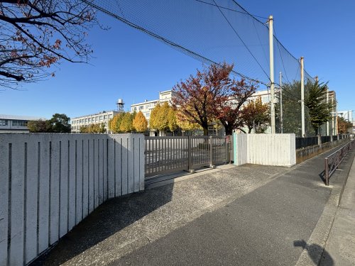 小学校　川崎市立田島小学校（小学校）まで561m