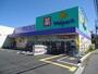 ドラックストア　ウェルパーク町田金森店（ドラッグストア）まで758m