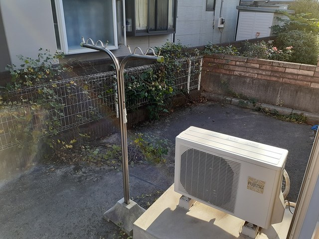 庭