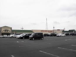 スーパー　PLANT-6(プラント) 瑞穂店（スーパー）まで4322m
