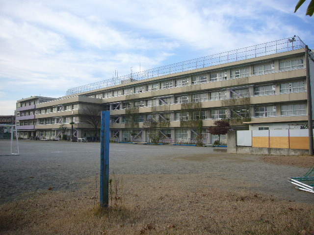 小学校　市川市立富美浜小学校（小学校）まで595m