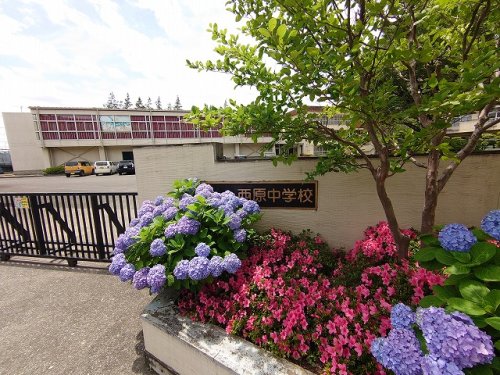 中学校　さいたま市立西原中学校（中学校）まで1539m