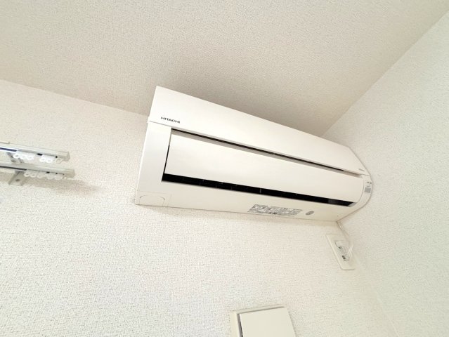 プラシードのその他写真