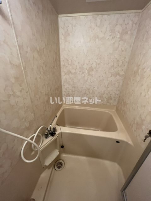 レイシーズ・カネガエの風呂写真