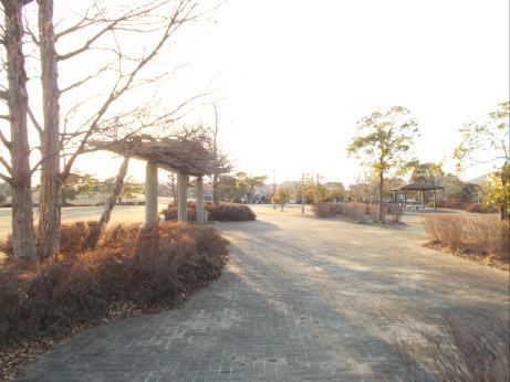 【土浦市おおつ野のアパートの公園】