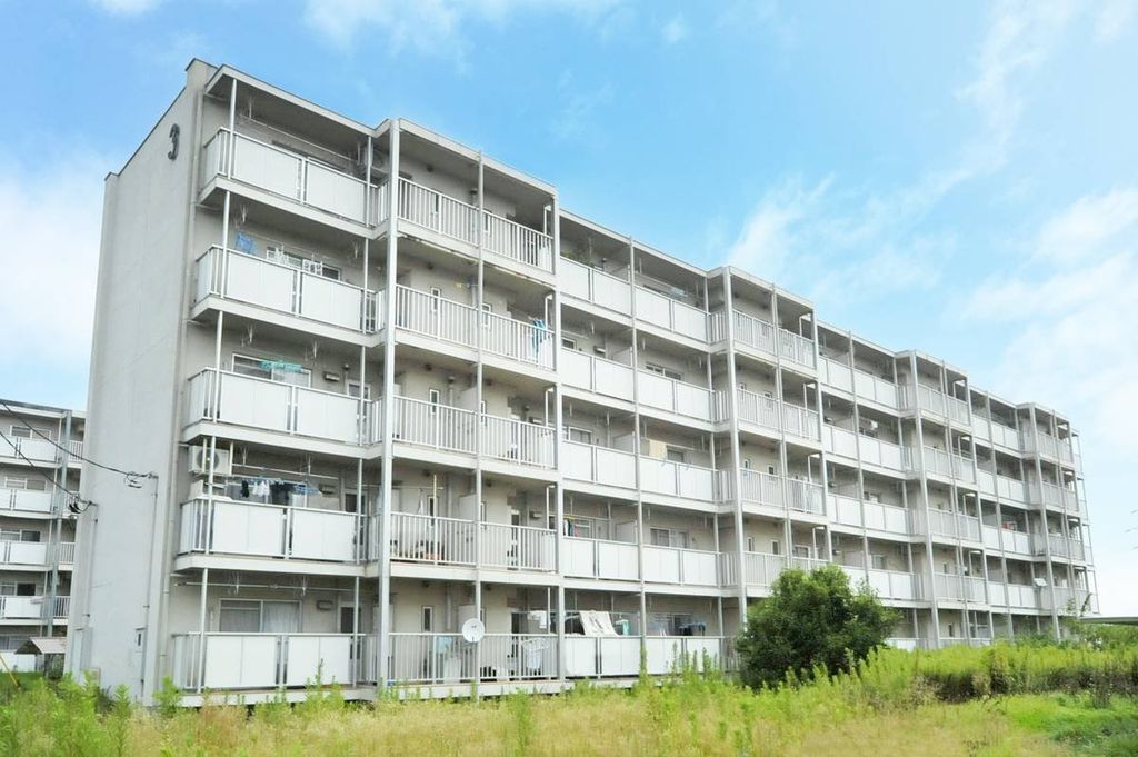 神奈川県平塚市大島（マンション）の賃貸物件の外観