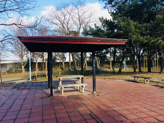 公園　扇町六丁目公園（公園）まで1100m