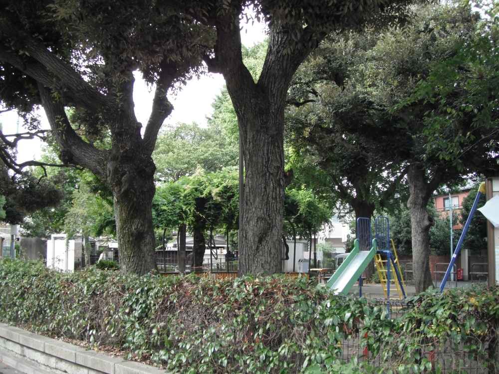 公園　西片公園（公園）まで70m