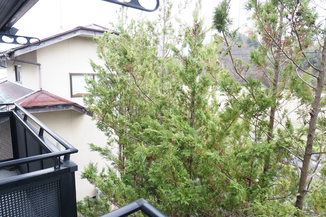 眺望　バルコニーからの景色です☆