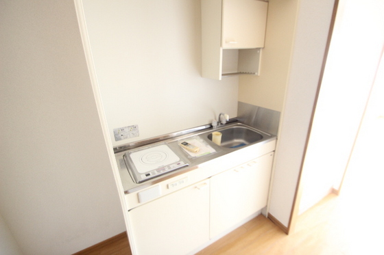 キッチン　※別号室の写真です。