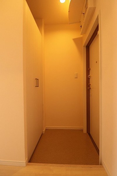 玄関　※同タイプ別号室参考写真