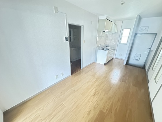 居室・リビング　※別部屋の写真です