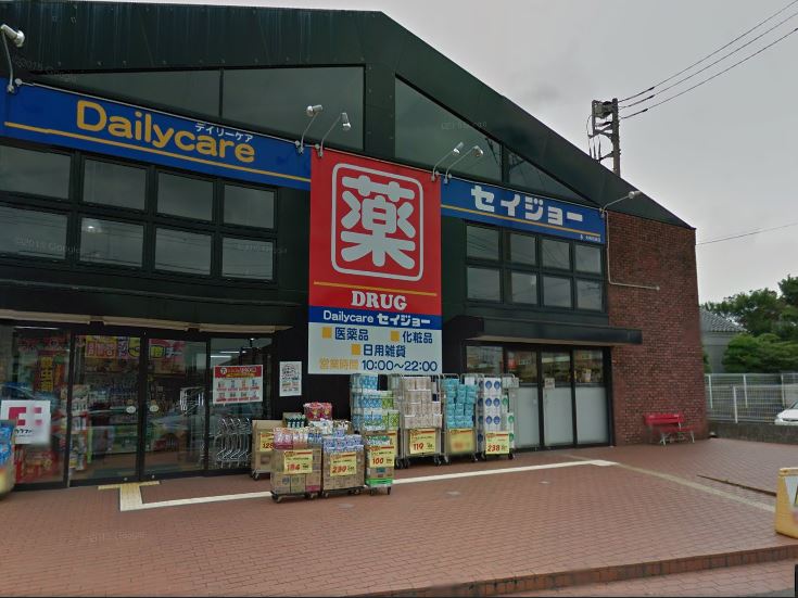ドラックストア　セイジョー大和渋谷店（ドラッグストア）まで801m