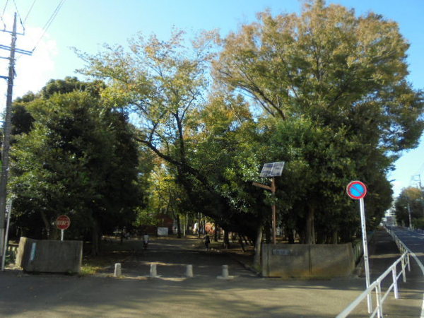 公園　世田谷公園（公園）まで1347m