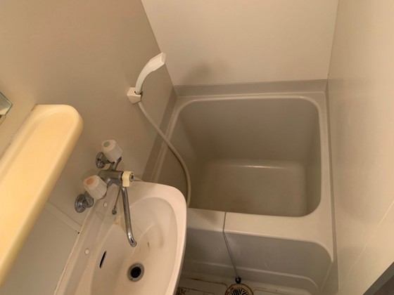 バス・シャワールーム　※別部屋の写真です