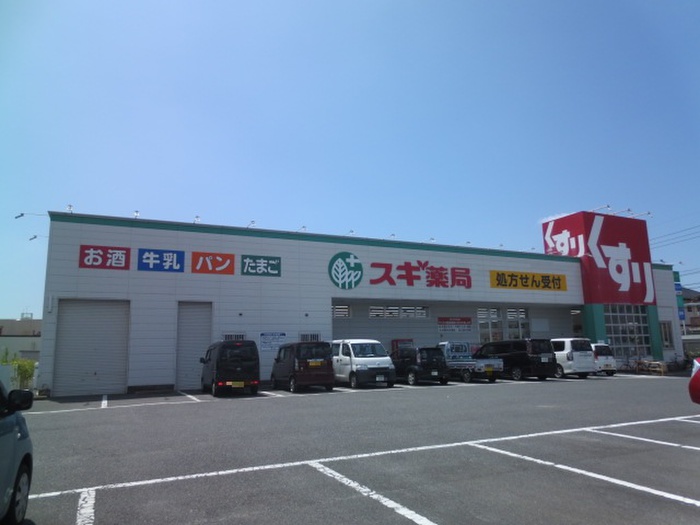 ドラックストア　スギ薬局正保店（ドラッグストア）まで719m