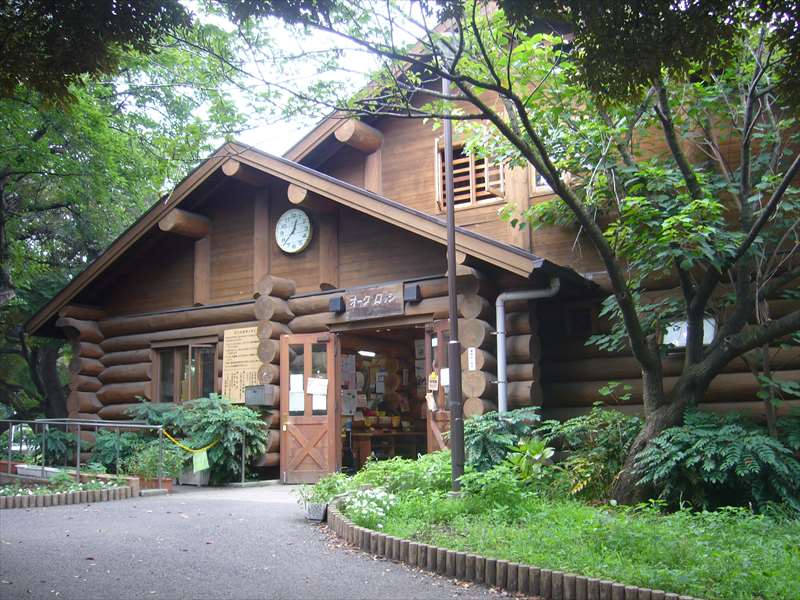 公園　柏葉公園こどもログハウス（公園）まで900m