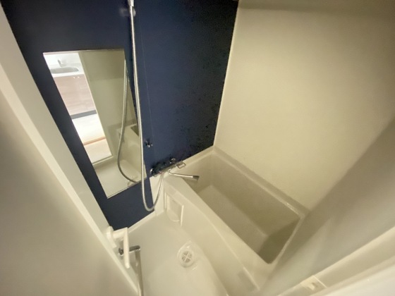 バス・シャワールーム　※別部屋の写真です