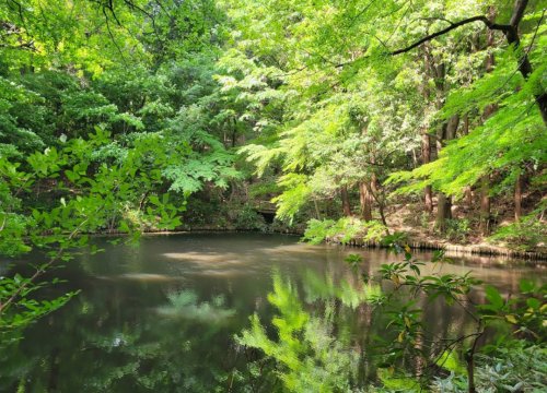 公園　滄浪泉園緑地（公園）まで1198m