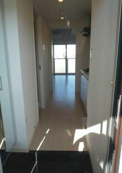 玄関　玄関から室内に向けての眺望です