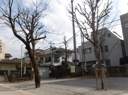 公園　須賀公園（公園）まで258m