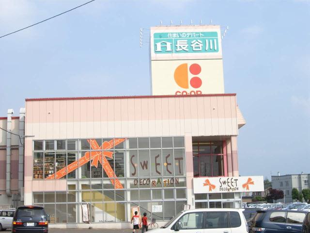 スーパー　ザ・ビッグ江別店（スーパー）まで723m