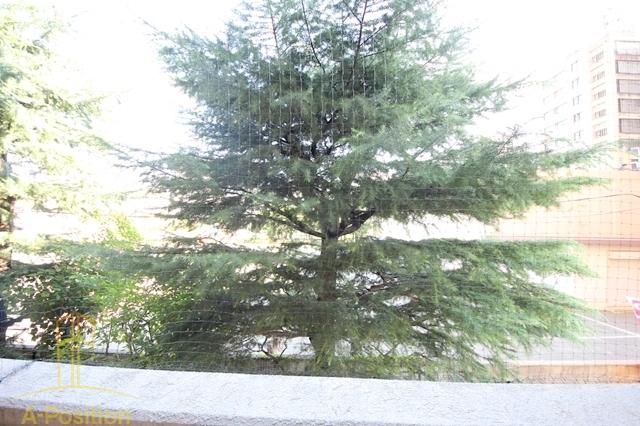 眺望　プロスペクト中之島