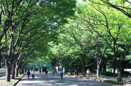 公園　駒沢オリンピック公園（公園）まで606m