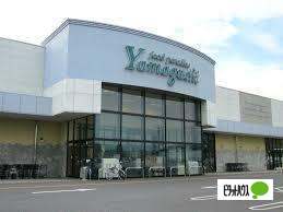 スーパー　ヤマグチスーパー堀米店（スーパー）まで1183m