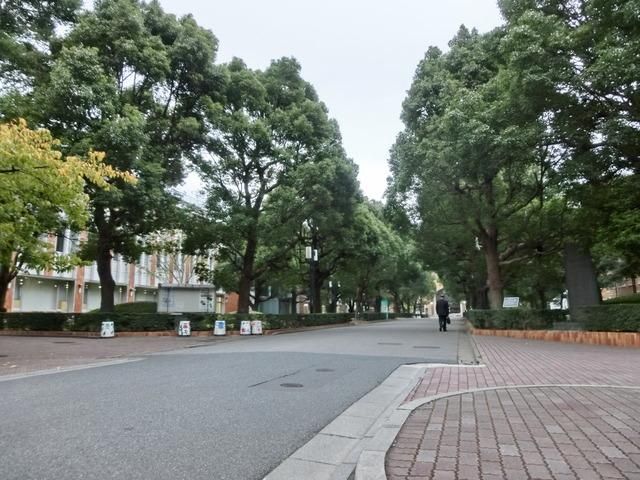 その他　千葉商科大学（その他）まで531m