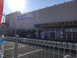 ホームセンター　コーナンPRO岡山豊成店（ホームセンター）まで891m