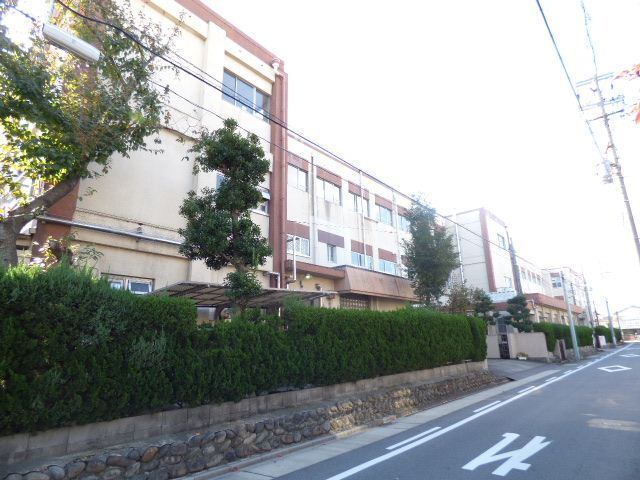 小学校　市立児玉小学校（小学校）まで280m