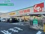 ドラックストア　スギ薬局久居新町店（ドラッグストア）まで803m