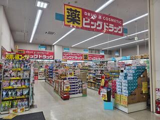 ドラックストア　ビッグドラッグ 白石店（ドラッグストア）まで1269m