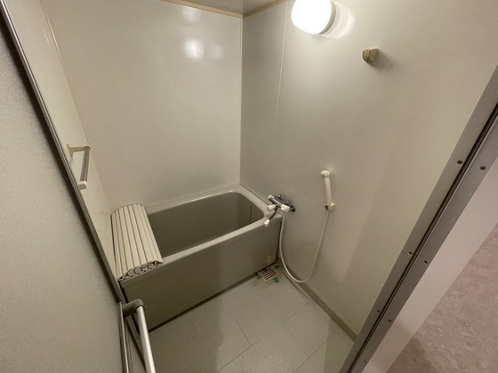 バス・シャワールーム　※別部屋の写真です