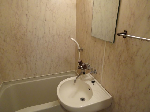 洗面設備　使いやすい洗面所です※別号室の写真です