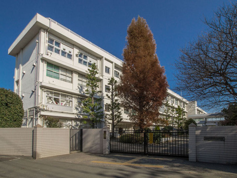 小学校　府中市立南白糸台小学校（小学校）まで413m