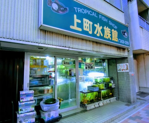 その他　上町水族館（その他）まで765m