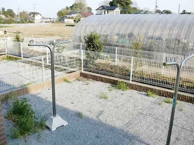 庭