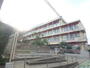 小学校　戸田市立戸田南小学校（小学校）まで300m