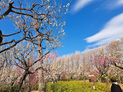 公園　羽根木小緑地（公園）まで319m