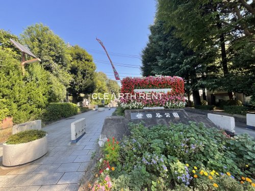 公園　世田谷公園（公園）まで515m