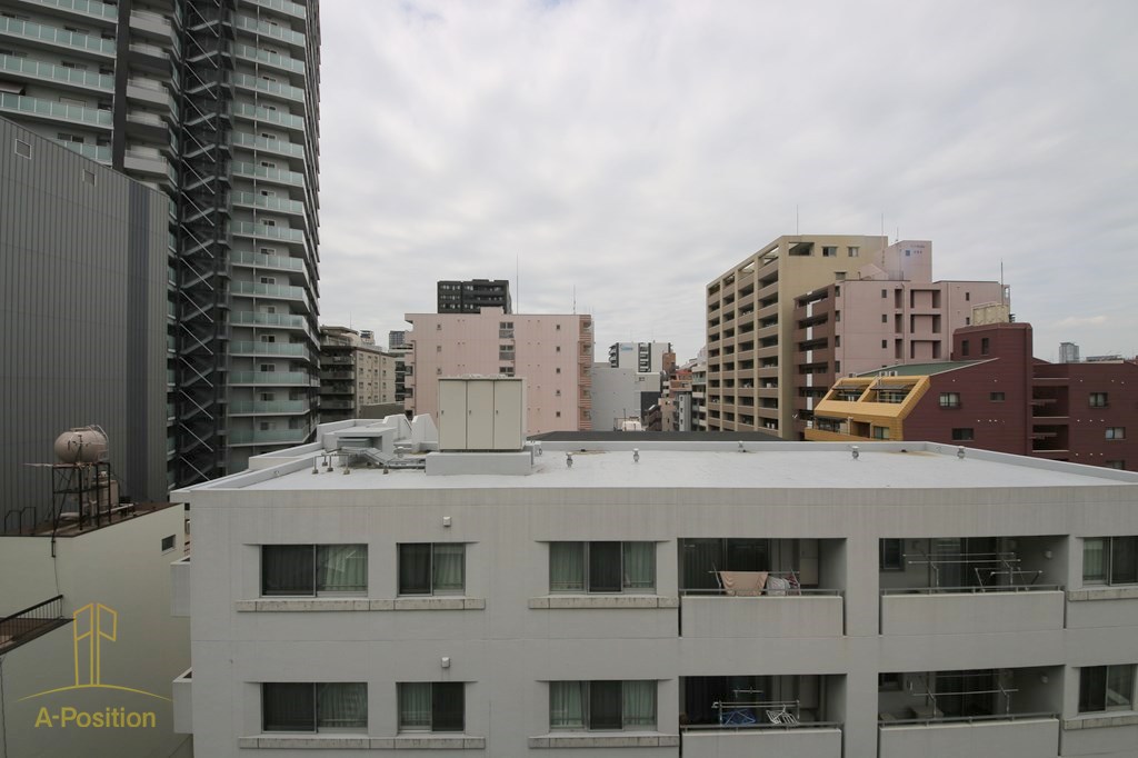 眺望　セレブコート安堂寺