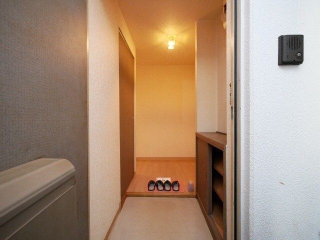 玄関　※写真は別号室です。