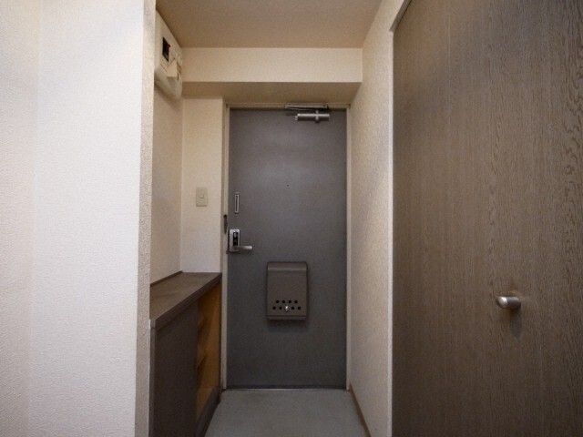 エントランス　※写真は別号室です。