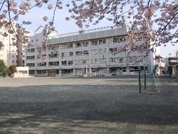 小学校　狛江市立狛江第一小学校（小学校）まで485m