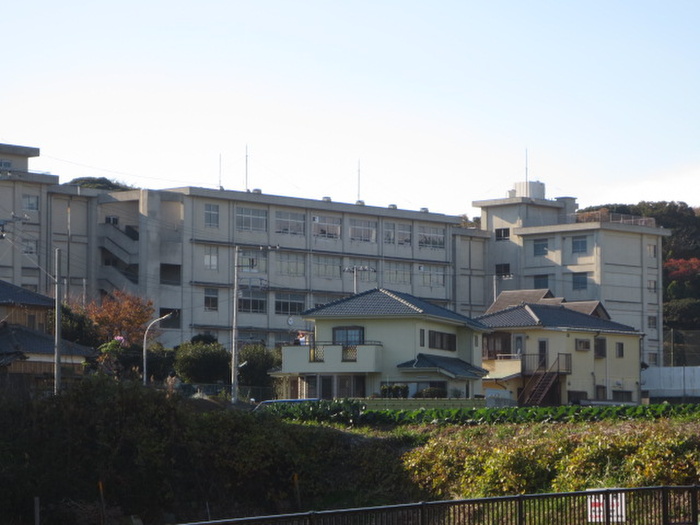 高校・高専　神奈川県立津久井浜高校（高校・高専）まで391m